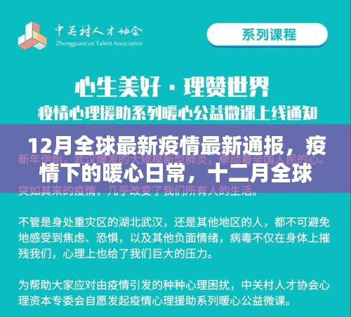 全球最新疫情通报，暖心日常与温情故事在十二月中的展现