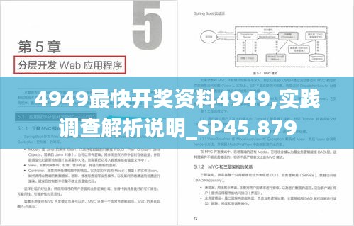 4949最快开奖资料4949,实践调查解析说明_SP45.879