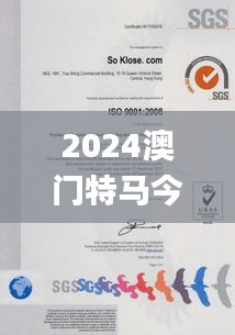 2024澳门特马今晚开奖93,最新核心解答落实_SE版69.336