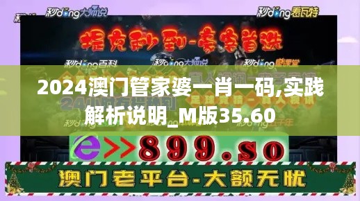 2024澳门管家婆一肖一码,实践解析说明_M版35.60