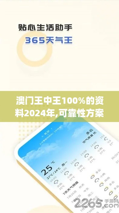 澳门王中王100%的资料2024年,可靠性方案设计_轻量版88.131