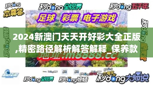 2024新澳门天天开好彩大全正版,精密路径解析解答解释_保养款3.881