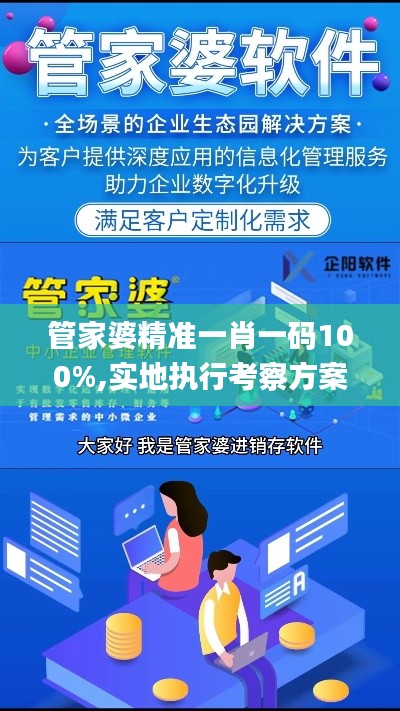 管家婆精准一肖一码100%,实地执行考察方案_专业款75.870