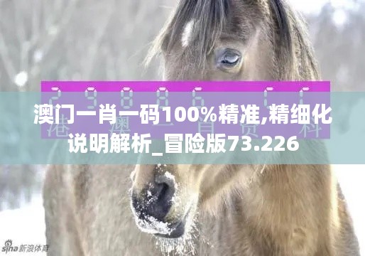 澳门一肖一码100%精准,精细化说明解析_冒险版73.226