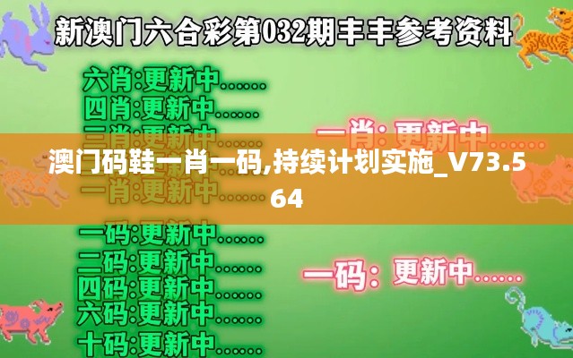 澳门码鞋一肖一码,持续计划实施_V73.564