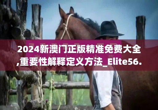 2024新澳门正版精准免费大全,重要性解释定义方法_Elite56.585