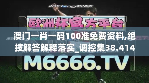 澳门一肖一码100准免费资料,绝技解答解释落实_调控集38.414