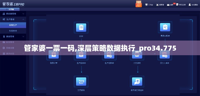 管家婆一票一码,深层策略数据执行_pro34.775