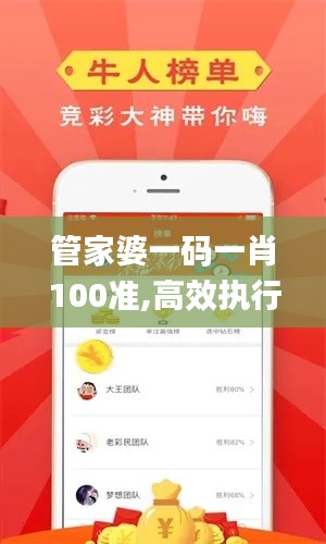 管家婆一码一肖100准,高效执行计划设计_高级款11.81