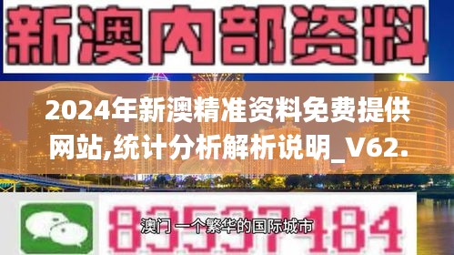 2024年新澳精准资料免费提供网站,统计分析解析说明_V62.999-2