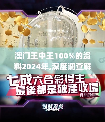 澳门王中王100%的资料2024年,深度调查解析说明_网页版199.503-6