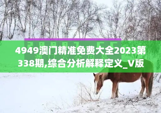 4949澳门精准免费大全2023第338期,综合分析解释定义_V版76.281-2