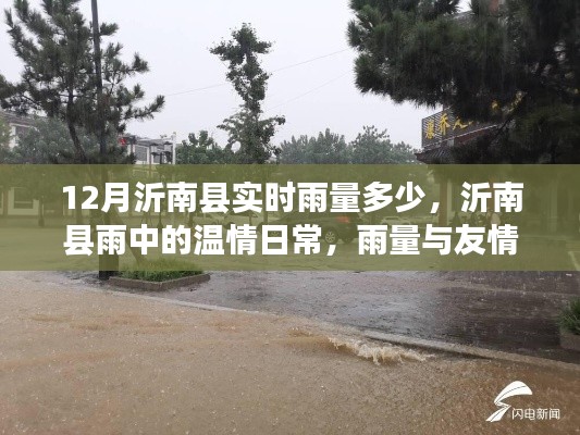 沂南县雨量与友情的测量，实时雨量及雨中的温情日常