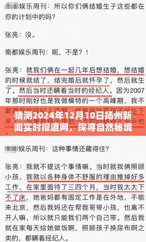 扬州新闻实时报道网探寻自然秘境，启程心灵深处的宁静之旅（预测2024年12月10日）