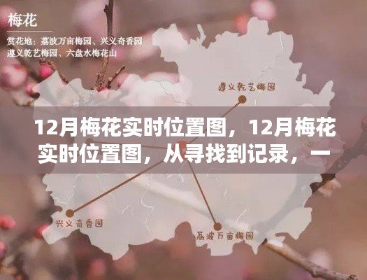 12月梅花实时位置图详解，从寻找至记录，教你如何轻松完成