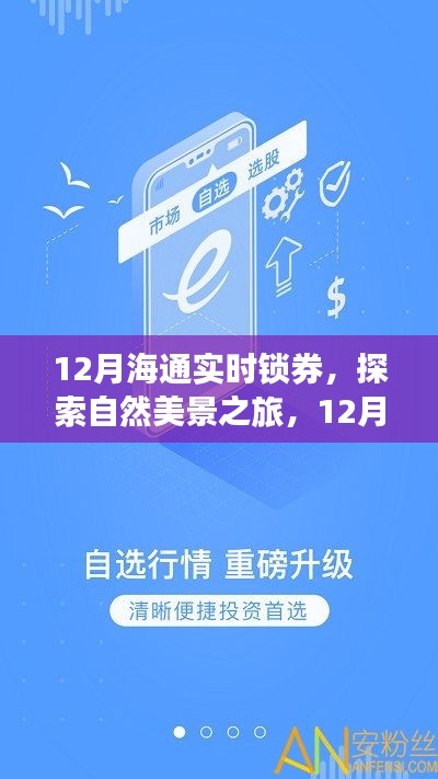 12月海通实时锁券，自然美景之旅与内心的宁静幽默探索之旅