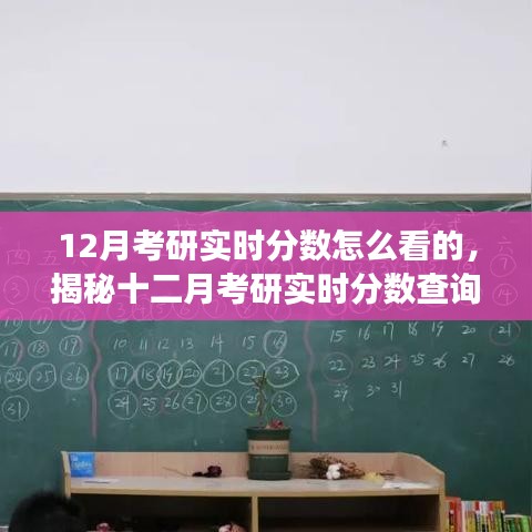 揭秘十二月考研实时分数查询攻略，如何精准掌握考试进展与分数查询技巧？