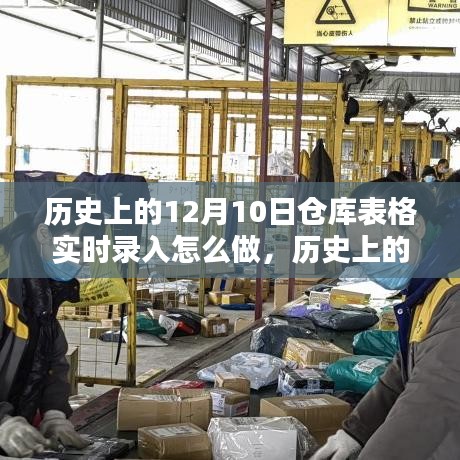 历史上的12月10日仓库表格实时录入详解与综合评测，操作方法与技巧探讨