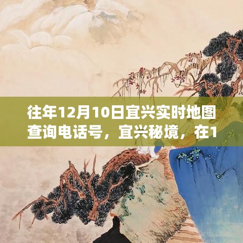 宜兴秘境，实时地图开启心灵之旅，探寻宜兴12月10日实时地图查询电话号