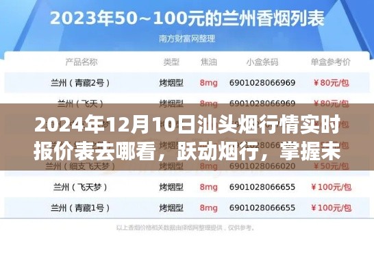 汕头烟行情实时报价表，跃动烟行，掌握黄金机遇的秘籍（2024年12月版）