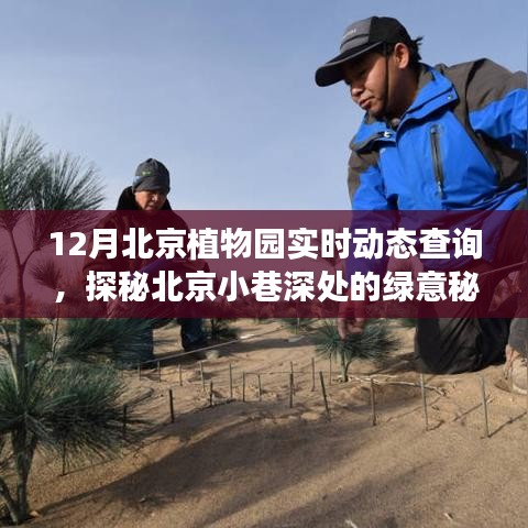 探秘北京植物园绿意秘境，实时动态下的惊喜小店与秘境探秘