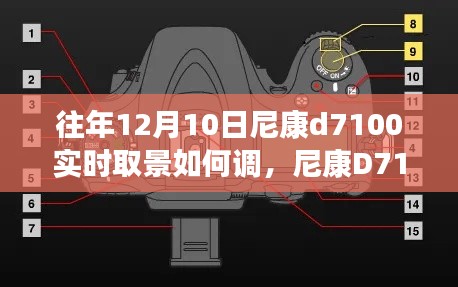 尼康D7100相机实时取景功能调整指南（初学者与进阶用户必读）