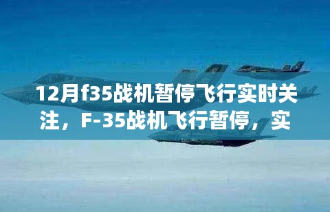 F-35战机飞行暂停引发关注，高科技巨头的蜕变与前沿科技魅力