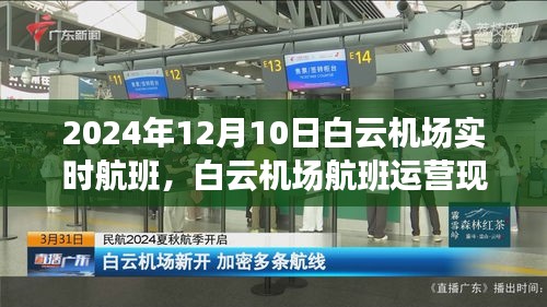 2024年12月10日白云机场航班运营实况及未来展望