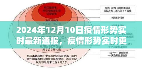 2024年疫情形势实时更新，初学者与进阶用户指南