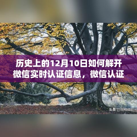 微信认证日揭秘，解开历史迷雾，探寻实时认证信息，重拾温馨纽带