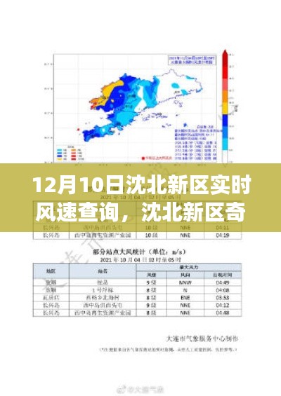 沈北新区风速探秘，温馨之旅开启，实时风速查询与奇遇记