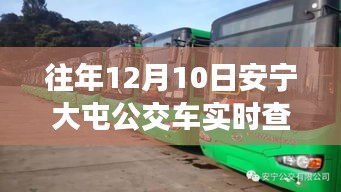 安宁大屯公交车实时查询指南，如何查询往年12月10日实时信息操作指南