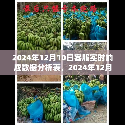 2024年12月10日客服实时响应数据分析表制作指南及数据解析