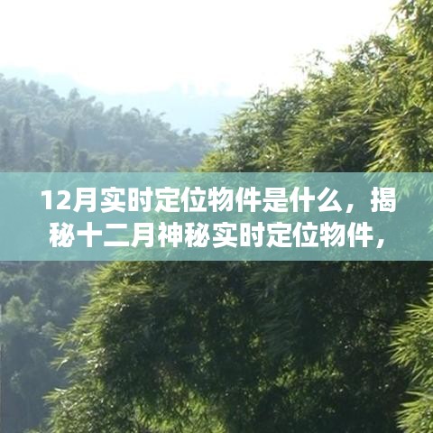 揭秘十二月神秘实时定位物件，寻找内心平静的冬日探险之旅