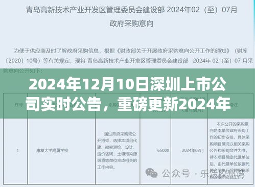 2024年12月10日深圳上市公司实时公告全解析，重磅更新与深度解读