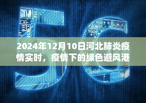 河北疫情下的绿色避风港，寻找内心的宁静与微笑（实时更新至2024年12月10日）