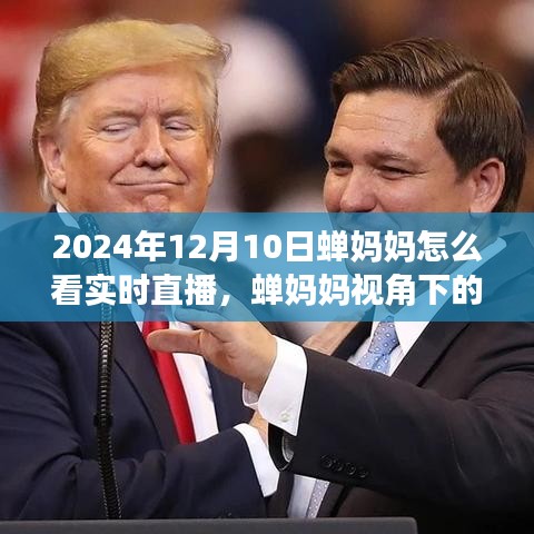 蝉妈妈视角下的直播新纪元，洞悉实时直播魅力，揭秘2024年12月10日直播看点