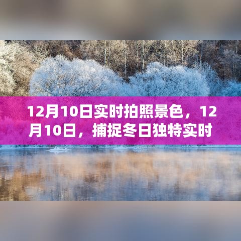 12月10日实拍，冬日独特景色之美