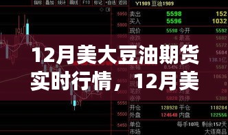 12月美大豆油期货实时行情深度解析