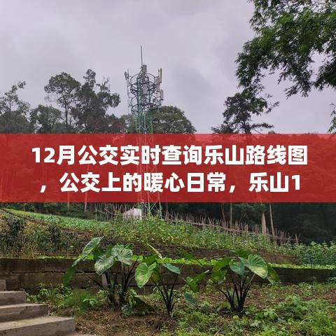 乐山公交暖心之旅，12月公交实时查询与温馨故事分享