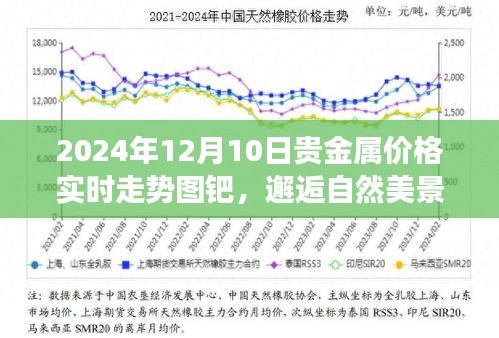 探索贵金属价格走势，钯之旅与自然美景的邂逅——2024年贵金属价格实时走势图钯解析