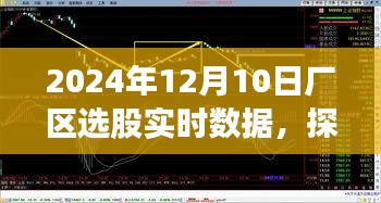 探秘厂区选股实时数据背后的隐藏瑰宝，小巷深处的秘密故事（2024年12月10日）