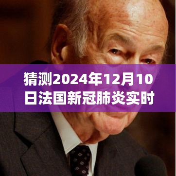 法国新冠肺炎实时更新，穿越法兰西追寻宁静蓝，未来自然之旅展望（2024年）