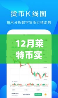 深度解析，12月莱特币实时交易平台的探讨与观点阐述