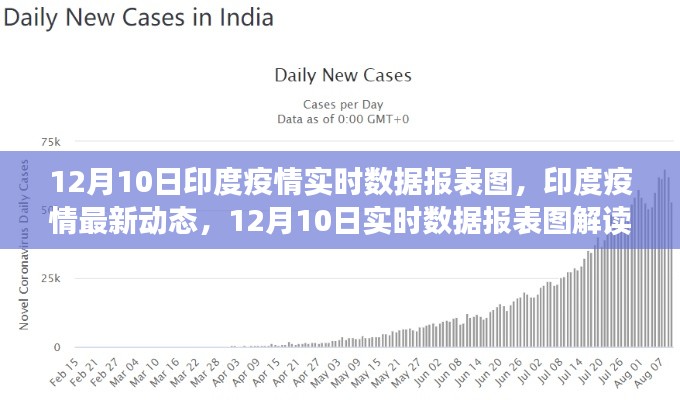 印度疫情最新动态，12月10日实时数据报表图解读与分析