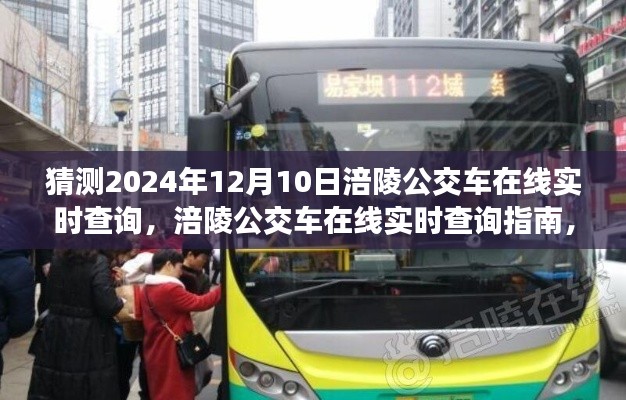 2024年涪陵公交车实时查询指南，操作详解与在线查询功能展望