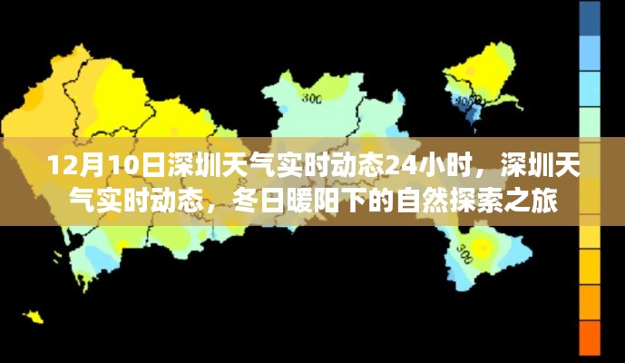 深圳天气实时动态，冬日暖阳下的自然探索之旅，全天候天气预报及实时更新