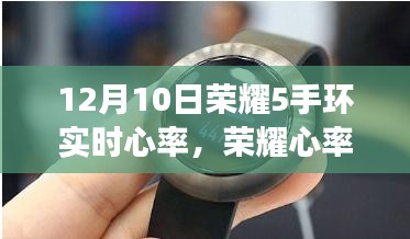 荣耀心率的秘密，探索实时健康的魅力——荣耀5手环实时心率与小店的隐藏特色