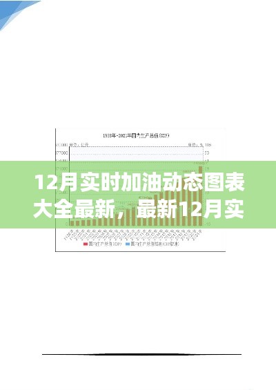 最新12月实时加油动态图表分析与行业趋势展望，数据解读与应用前景展望