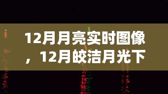 12月皎洁月光下的浪漫，实时月亮图像解析与欣赏